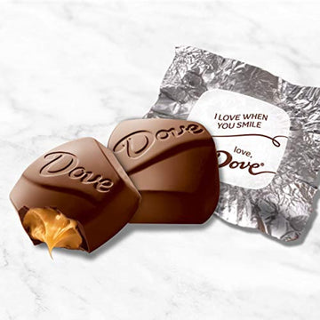 DOVE PROMISES Valentine's Love Notes Caramel & Milk Chocolate Candy Bag, 7.94-Ounce - Melville Co